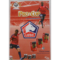 Pro cup LOSC (saison 2018-2019)