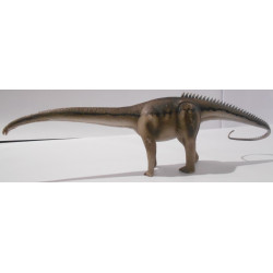 Dinosaure diplodocus