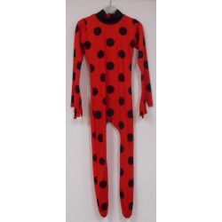 Déguisement - Ladybug