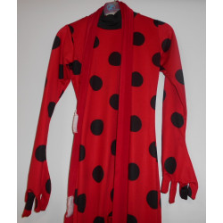 Déguisement - Ladybug