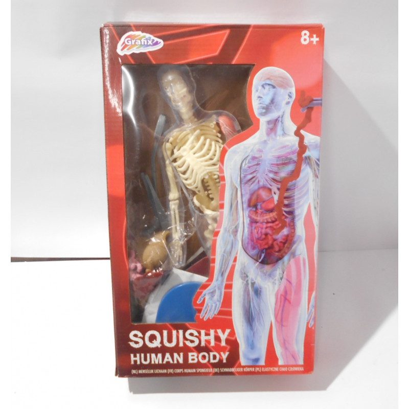 Squishy Human body-Corp humain