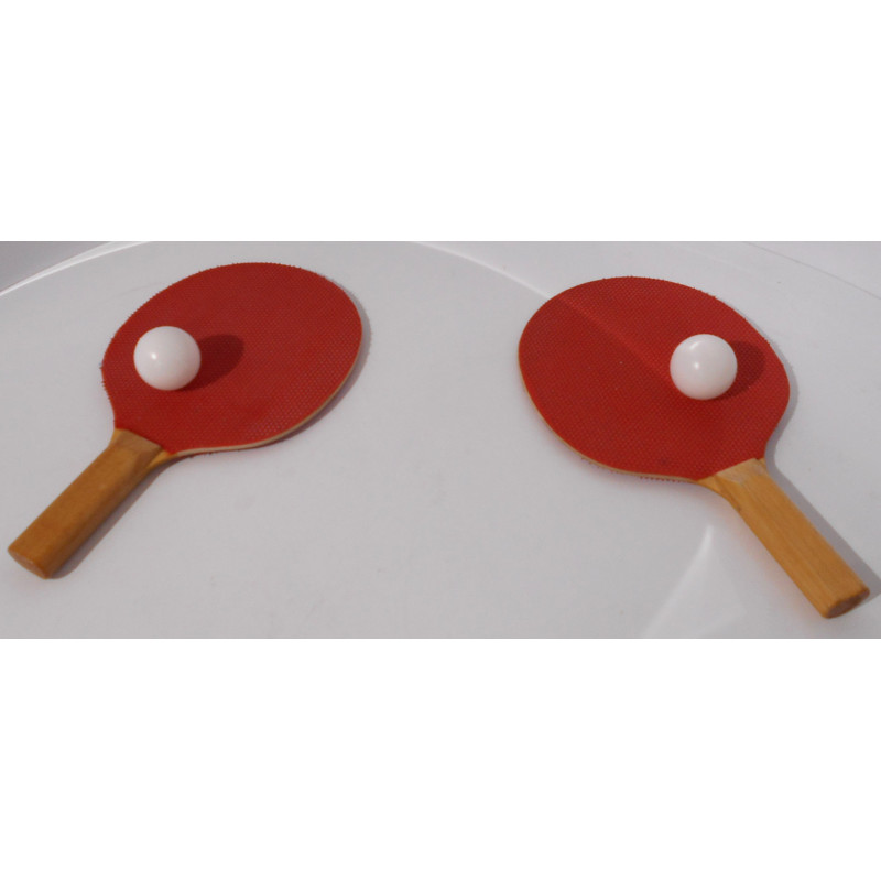 Raquettes de ping-pong