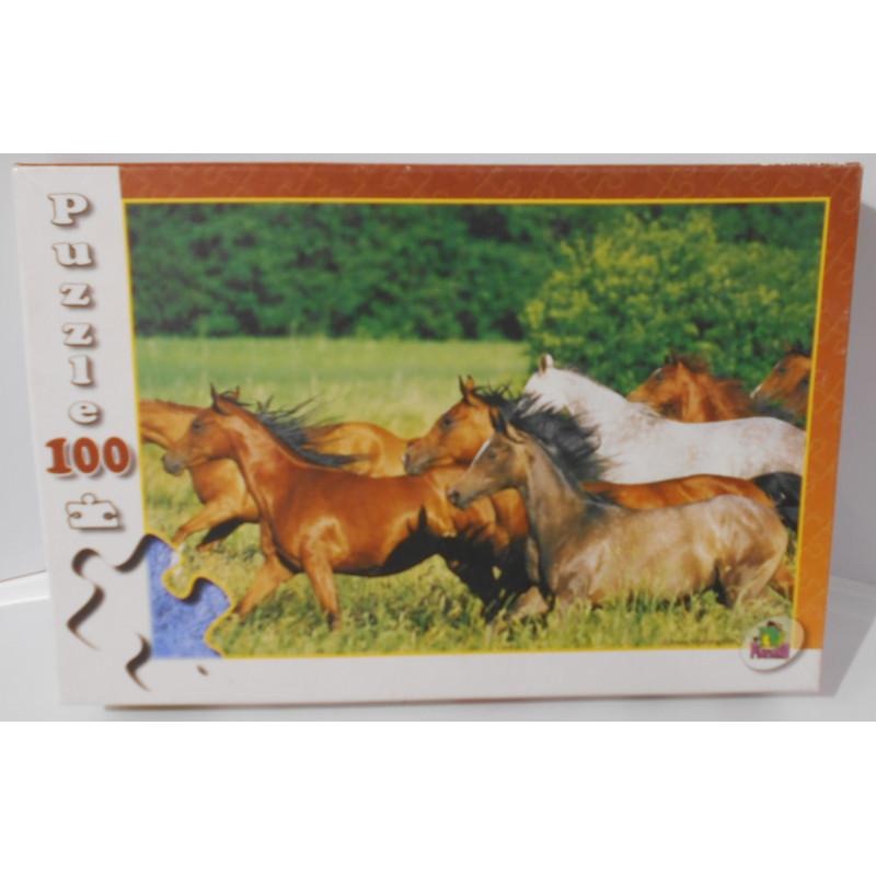 Puzzle Chevaux - Playland