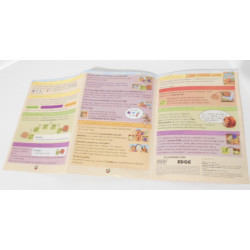 L'âge de pierre junior