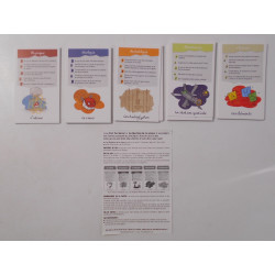 Jeu d'énigmes - C'est pas sorcier - Les Mystères de la Science - Bioviva