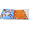 Collection de 50 jeux Paw Patrol