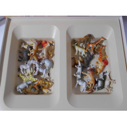 La Loi de la Savane - Jeux Michel