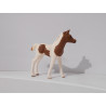 Figurine poulain pintabian - Schleich
