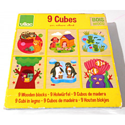 Cubes en bois - Vilac