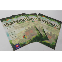 PlateauX de hendrik simon