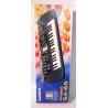 Synthétiseur Casio SA-65