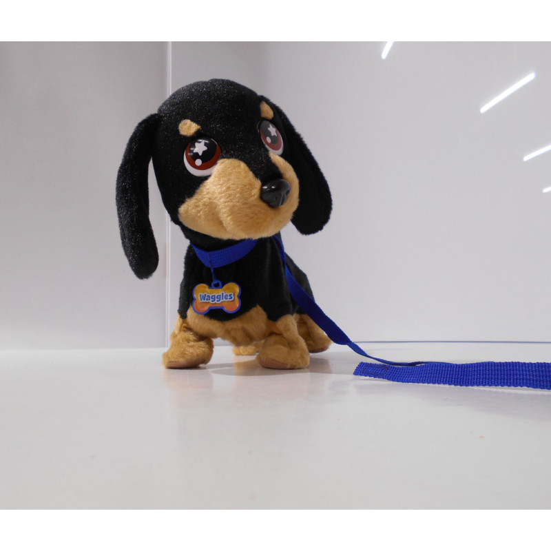 Waggles en balade - Vivid