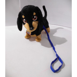 Waggles en balade - Vivid