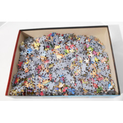 Puzzzle 1000 pièces  - JUMBO