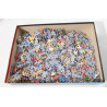 Puzzzle 1000 pièces  - JUMBO