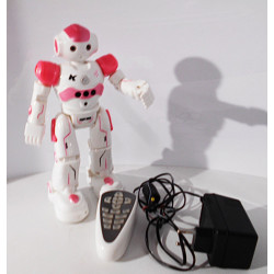 ROBOT INTELLIGENT - CADY WINI