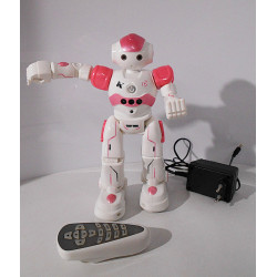 ROBOT INTELLIGENT - CADY WINI