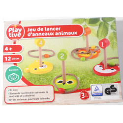 Jeu de lancer d'anneaux