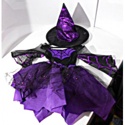 Déguisement Sorcière violette