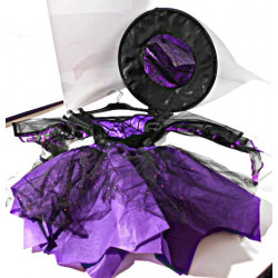 Déguisement Sorcière violette