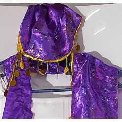 Déguisement Princesse Orientale