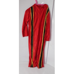 Déguisement Troubadour