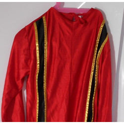 Déguisement Troubadour