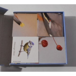 Memo nature - Betula