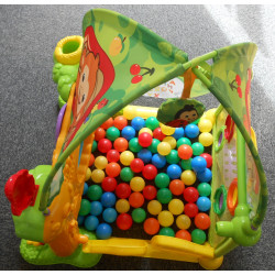 Cabane interactive Vtech