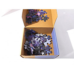 Puzzle La reine des Neiges – CLEMENTONI -  60 pièces