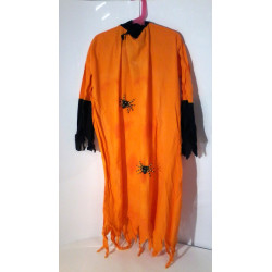 Déguisement Halloween...