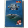 Défis nature animaux marins - Bioviva