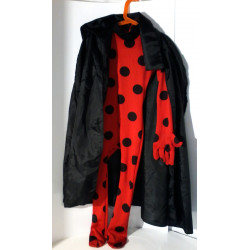 Déguisement  Ladybug