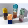 Mes premiers cubes éducatifs - Baby ToLove