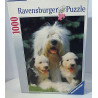 Puzzle de chien -Ravensburger