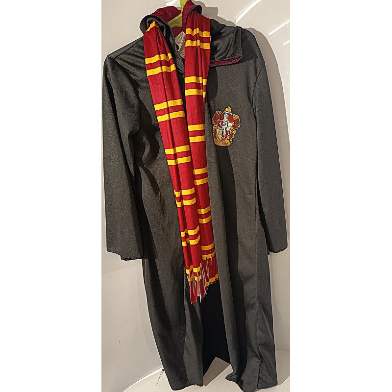 Costume Harry Potter