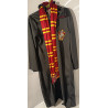 Costume Harry Potter